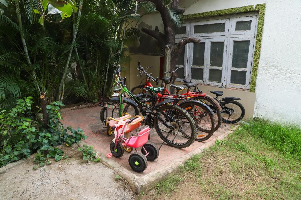 萨尼德亚度假村 阿里巴格 外观 照片